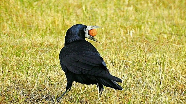 Csodálatos természet 13